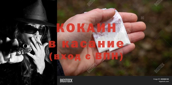 трава Арсеньев