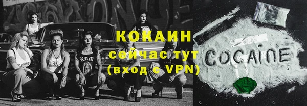 трава Арсеньев